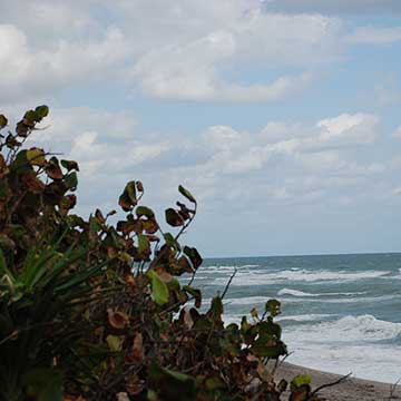 tequesta community